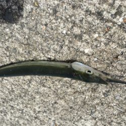 このくらいが丁度いい