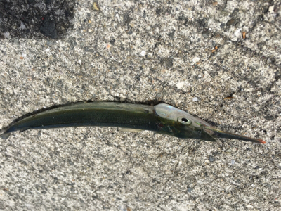 このくらいが丁度いい