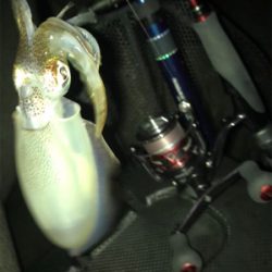 少し荒れてた方が釣れる?σ(^_^;)