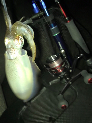 少し荒れてた方が釣れる?σ(^_^;)