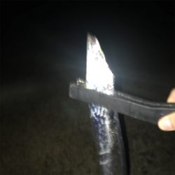 タチウオ、、どうにか、、