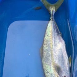 ショアジギング