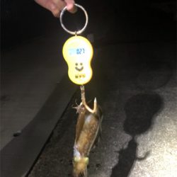 台風の影響か‥