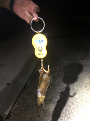 台風の影響か‥