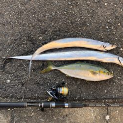 坊主からの脱出