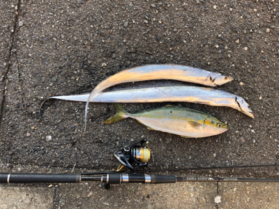 坊主からの脱出