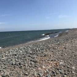 まだまだツバス