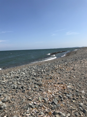 まだまだツバス