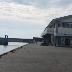 サッパとジンダ