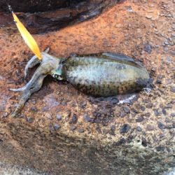 パイセン絶好釣‼️