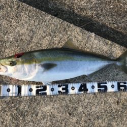 誕生日プレゼント??