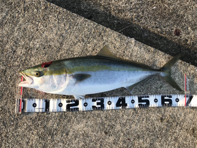 誕生日プレゼント？？