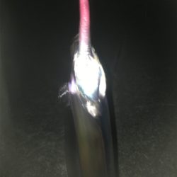 転勤後初釣行にて