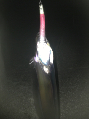 転勤後初釣行にて