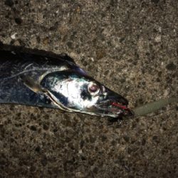 劇渋ですが・・・