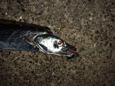 劇渋ですが・・・