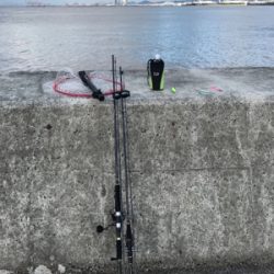 昨日も今日も激渋