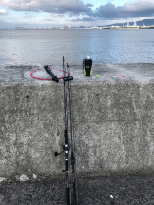 昨日も今日も激渋