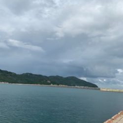 久々のエギング