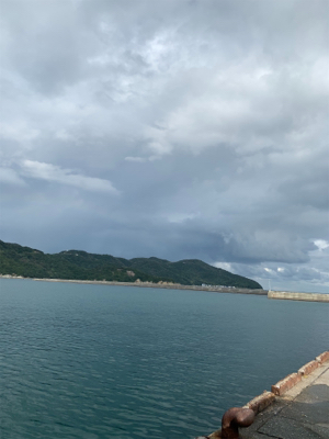 久々のエギング