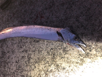 向かい風が寒かった