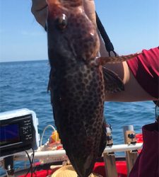 マイボートではじめてのポイントへ