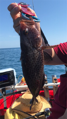 マイボートではじめてのポイントへ