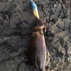 少しずつサイズアップ