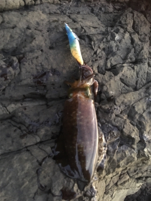 少しずつサイズアップ