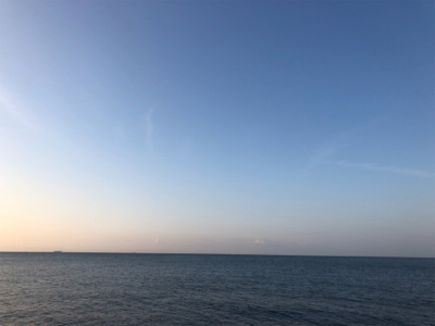 明るくなってからのタッチー^_^