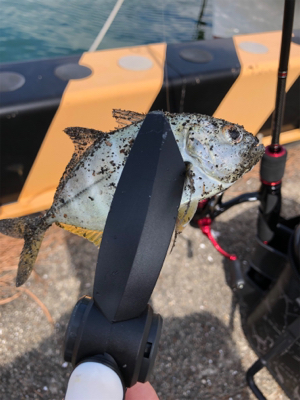 アジング初の遠征 2