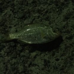 ビックリしたー!