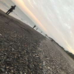 三保サーフジギング