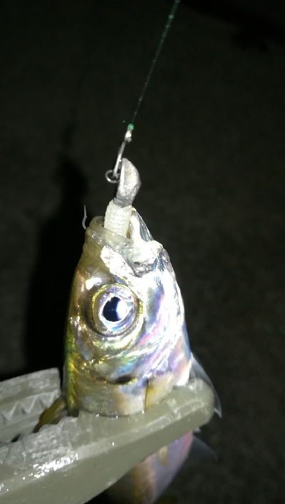 ナイトアジング