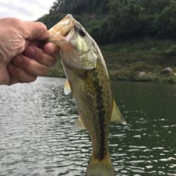 午後からボート釣行