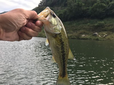 午後からボート釣行