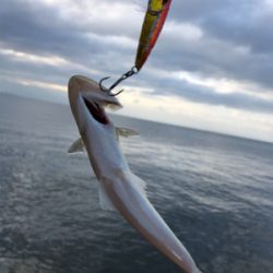 フォール中にドスン………