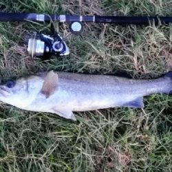 LSJigginger0525〜0610 アジンガー1800〜1935