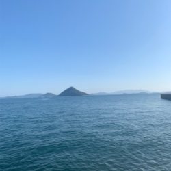 ツバスシーズン終盤泣きの1尾