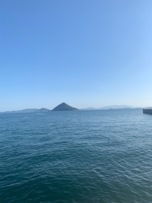 ツバスシーズン終盤泣きの1尾