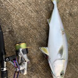 山陰地方湾奥でまさかの……