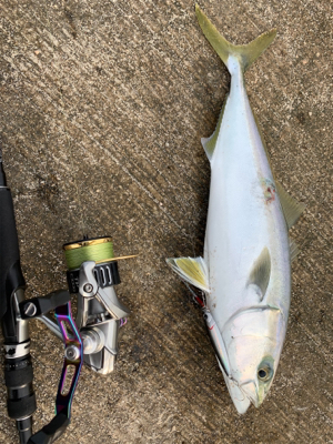 山陰地方湾奥でまさかの……