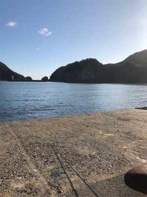 高波でダメとは分かっていたけど…