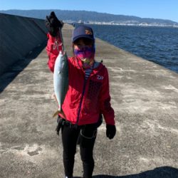 昼間のショアジギング