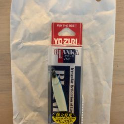 爆風の中のライトショアジギング