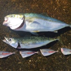 いまいち伸びない