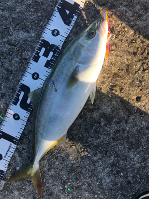 台風前の荒食い狙って…リベンジ編