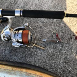 デカ太刀魚かと思いきや…。