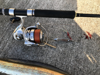 デカ太刀魚かと思いきや…。