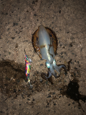 前回のリベンジ